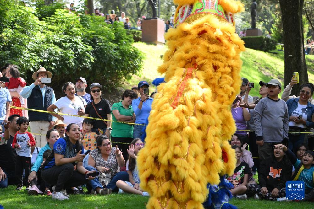 大奖网彩票官网